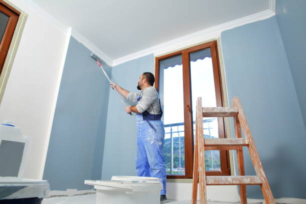 Pintor em Franca SP (16) 99130-9279